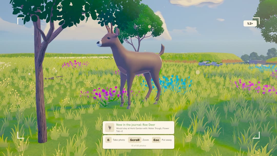 A roe deer for the journal